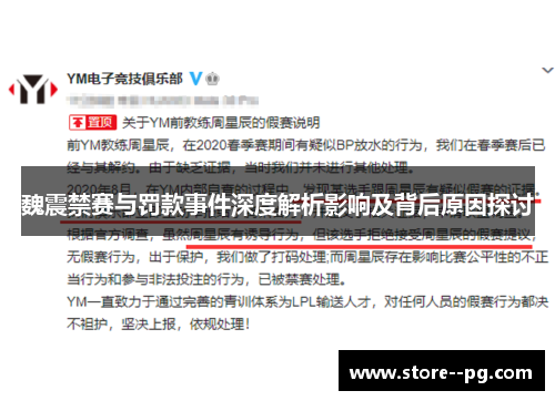 魏震禁赛与罚款事件深度解析影响及背后原因探讨